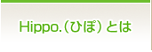 Hippo.（ひぽ）とは