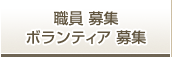 職員 募集　ボランティア 募集